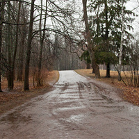 Дорожка в Александровском парке