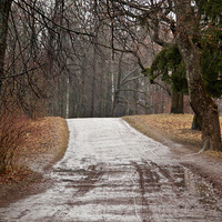 Александровский парк