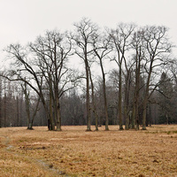 Александровский парк