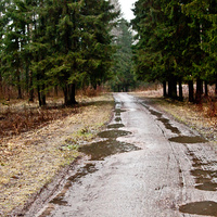 Александровский парк