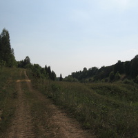 Дорога к деревне Новые Перескоки
