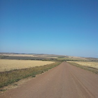 Дорога в Репьёвку в северном направлении