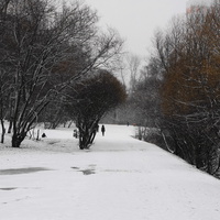 Парк у Бирюлевских прудов