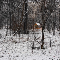 Кормушка в старом Загорьевском парке