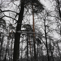 Загорьевский усадебный Герценский парк