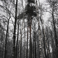 Загорьевский усадебный Герценский парк