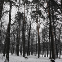Загорьевский усадебный Герценский парк