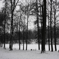 Загорьевский усадебный Герценский парк