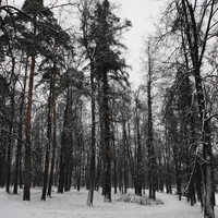 Загорьевский усадебный Герценский парк