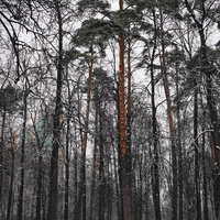Загорьевский усадебный Герценский парк
