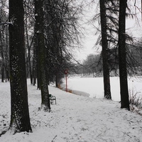 Парк бывшей усадьбы в Загорье