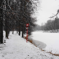 Парк бывшей усадьбы в Загорье