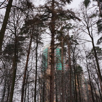 Парк бывшей усадьбы в Загорье