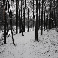 Парк у МКАДа