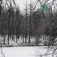 Загорьевский усадебный парк