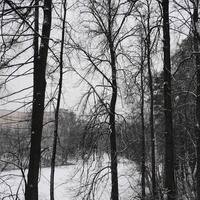 Загорьевский пруд