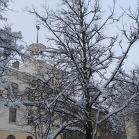 Сыктывкар 2014  в сквере у вечного огня