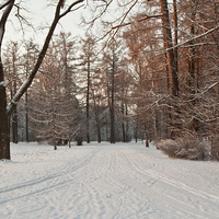 Александровский парк