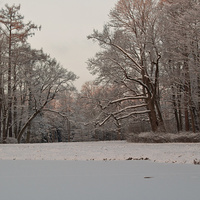 Александровский парк