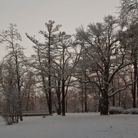 Александровский парк