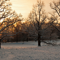 Александровский парк