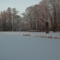 Детский пруд