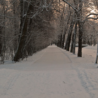 Аллея в Александровском парке