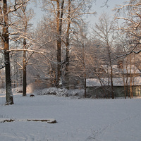 Домики в Баболовском парке