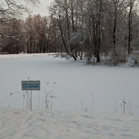 Детский пруд