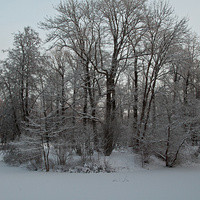 Александровский парк