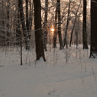 Александровский парк