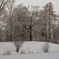 Александровский парк