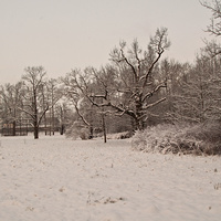 Александровский парк
