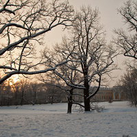 Александровский парк