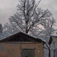 Пенсионерная конюшня