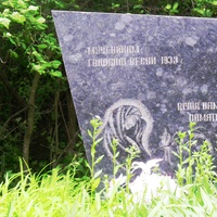 Радиванівка ,пам'ятник мученикам голодної весни 1933 року