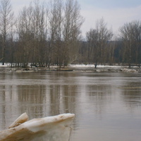 река сим розлив весна 2013