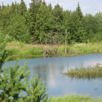 Деревенский пруд