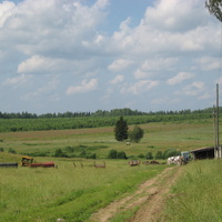 Деревня Берёзова