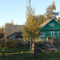 деревня Кривец