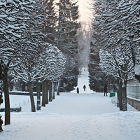 Екатерининский парк