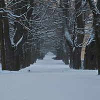 Екатерининский парк