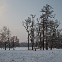 Екатерининский парк