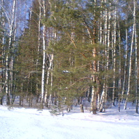 Зимняя сказка. Вид с поля у Богрово.