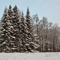 Екатерининский парк