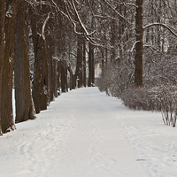 Екатерининский парк