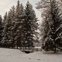 Екатерининский парк