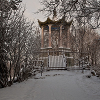 Большой каприз