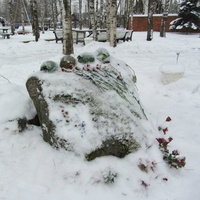 памятник на территории музея "Дорога Жизни"