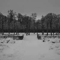 Екатерининский парк